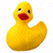 duck.gif - 2.13 Ko